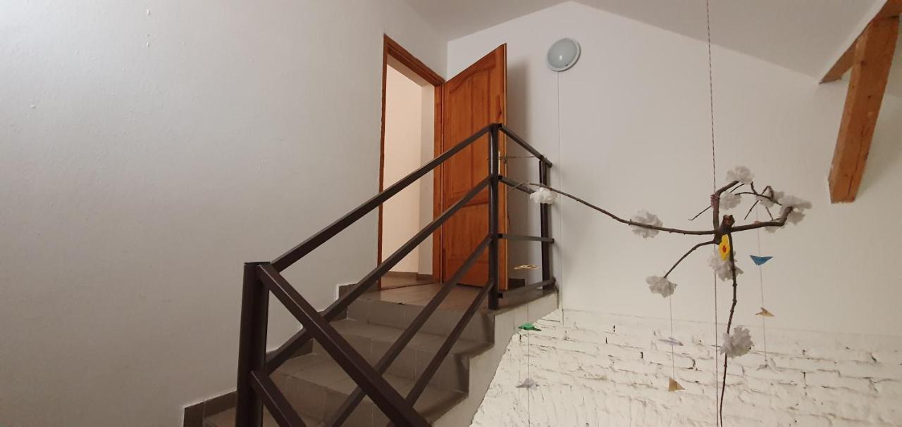 Romzsa Todor Kollegium Vandrarhem Szeged Exteriör bild