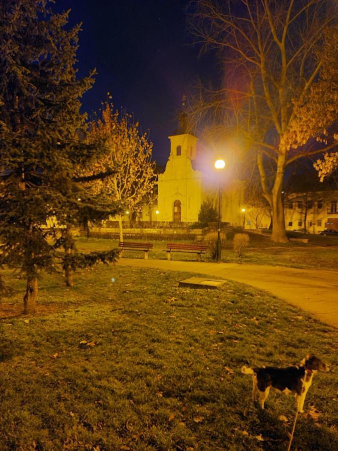 Romzsa Todor Kollegium Vandrarhem Szeged Exteriör bild